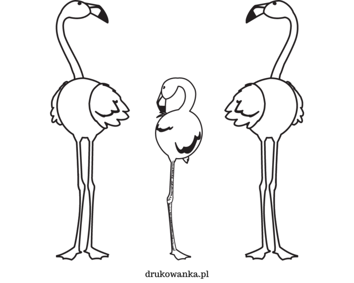 Flamingo Familie Malbuch zum Ausdrucken