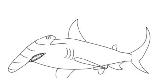 hammerhead shark fish coloring book to print