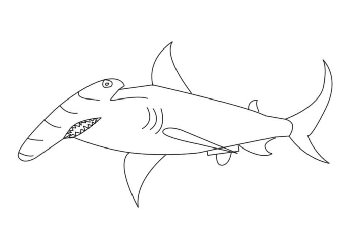 Hammerhai-Fisch-Malbuch zum Ausdrucken