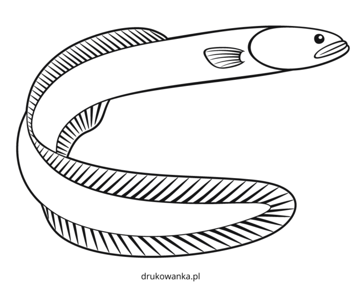 fish eel coloring book to print