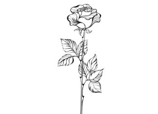 rose with leaves coloring book to print