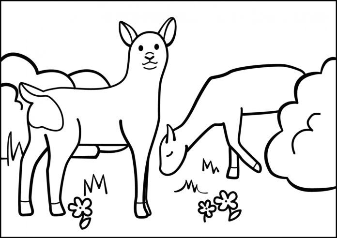 deer at the feedlot coloring page printable