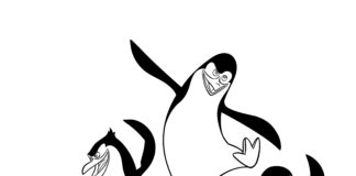 skipper,rico,private et smith penguin livre à colorier à imprimer