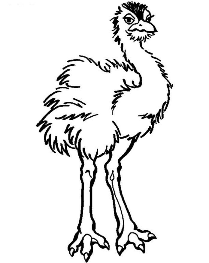 sad ostrich coloring book to print