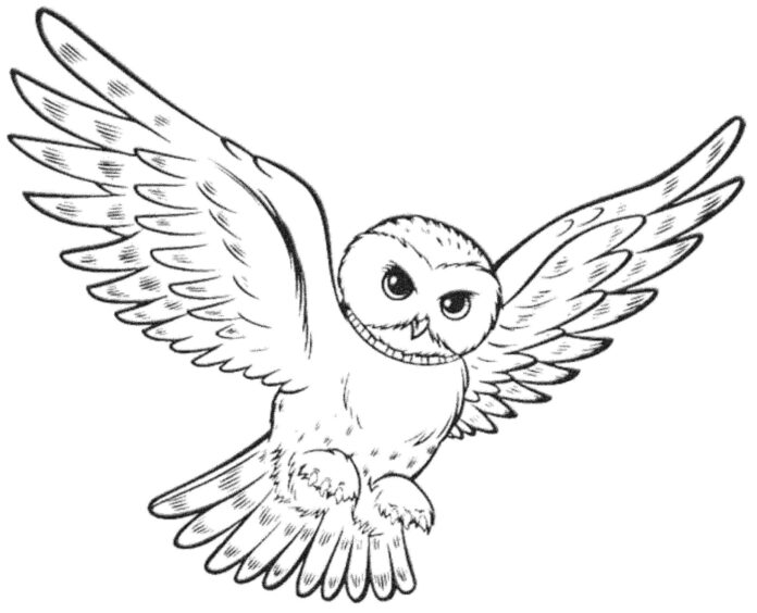 Hedwigs uggla som kan skrivas ut och färgläggas