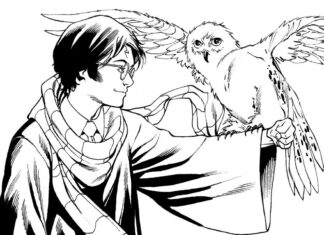 owl and harry potter coloring book to print