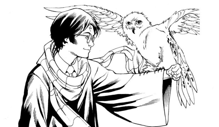 pöllö ja Harry Potter värityskirja tulostettava