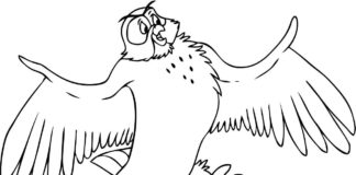 owl printable coloring book