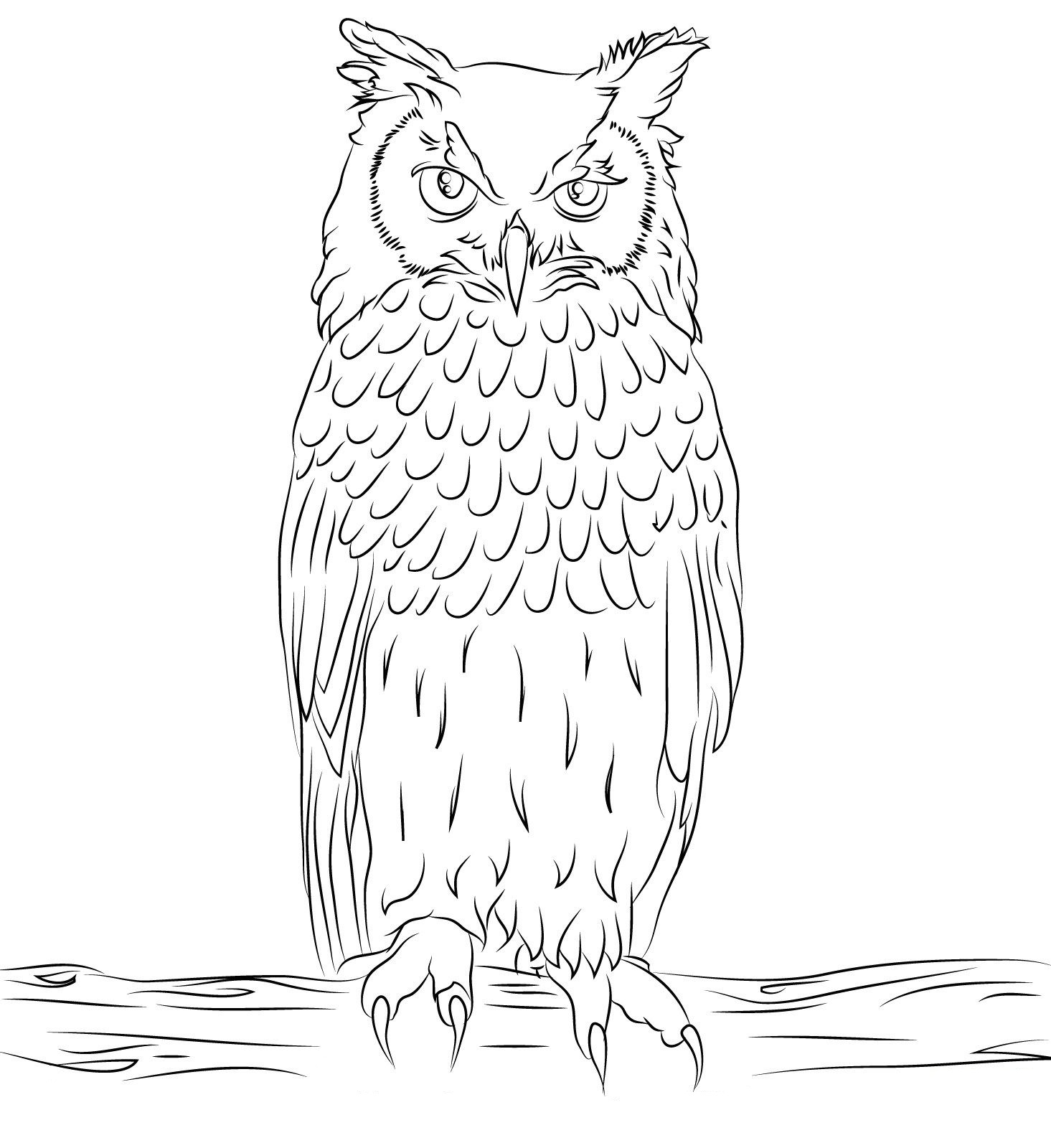   Owl Coloring Pages Online Best