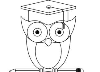 owl in a biretta coloring book to print