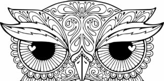 owl in dots and patterns coloring book to print