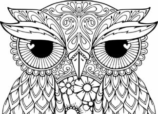 owl in dots and patterns coloring book to print