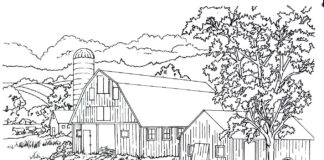 stud farm coloring book to print
