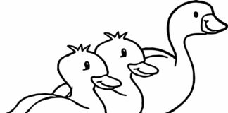 flock of geese coloring book to print