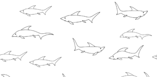 flock of baby sharks coloring book to print