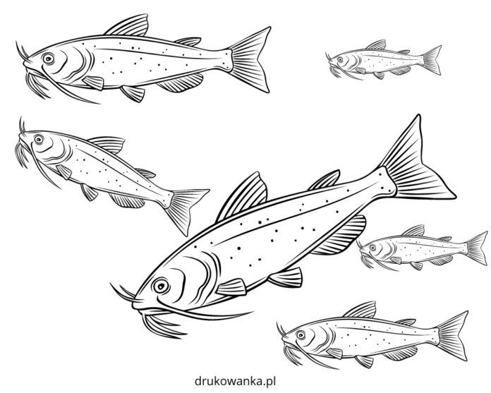 página de coloração do rebanho de peixes-gato imprimível