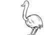 libro da colorare struzzo emu da stampare