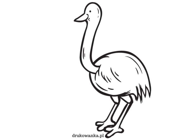 pštros emu - omalovánky k vytisknutí