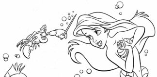 ariel the mermaid and the fish coloring book to print