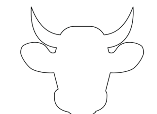 bison head sketch coloring book to print