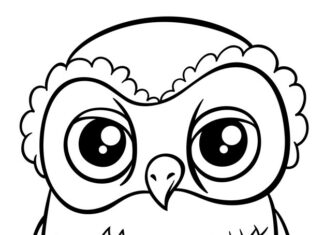 school owl coloring book to print