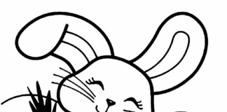 cute rabbit in the field coloring book to print