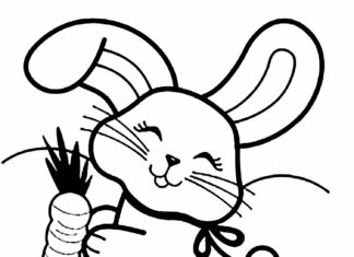 carino coniglio nel campo libro da colorare da stampare