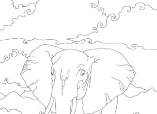 Afrikansk elefant til udskrivning som malebog