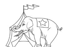 Elefant im Zirkus Malbuch zum Ausdrucken
