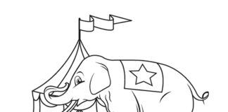 livre de coloriage "éléphant dans le cirque" à imprimer