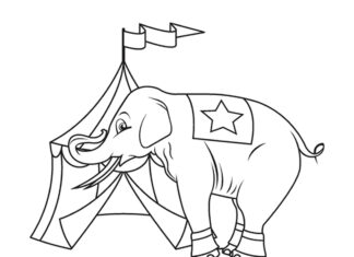 Elefant im Zirkus Malbuch zum Ausdrucken