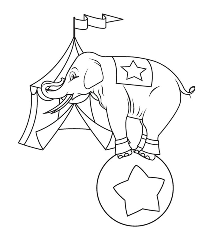 elefante no livro de colorir do circo para imprimir