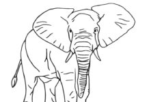Elefant mit heruntergelassenem Rüssel Malbuch zum Ausdrucken