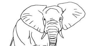 elefant med en nedlagt snabel malebog til udskrivning