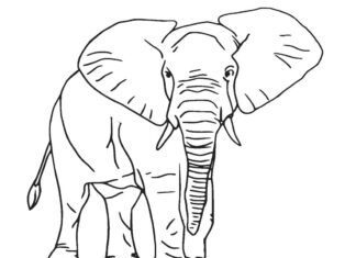 Elefant mit heruntergelassenem Rüssel Malbuch zum Ausdrucken