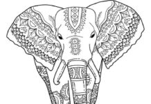 zentangle elephant for adults coloring book to print
