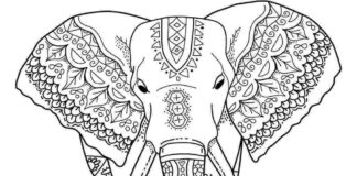 zentangle elephant for adults coloring book to print