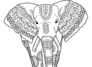 zentangle elefante para adultos libro para colorear para imprimir