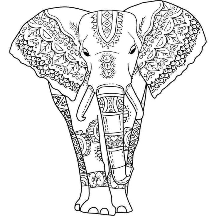 elefante zentângulo para adultos colorir livro para imprimir