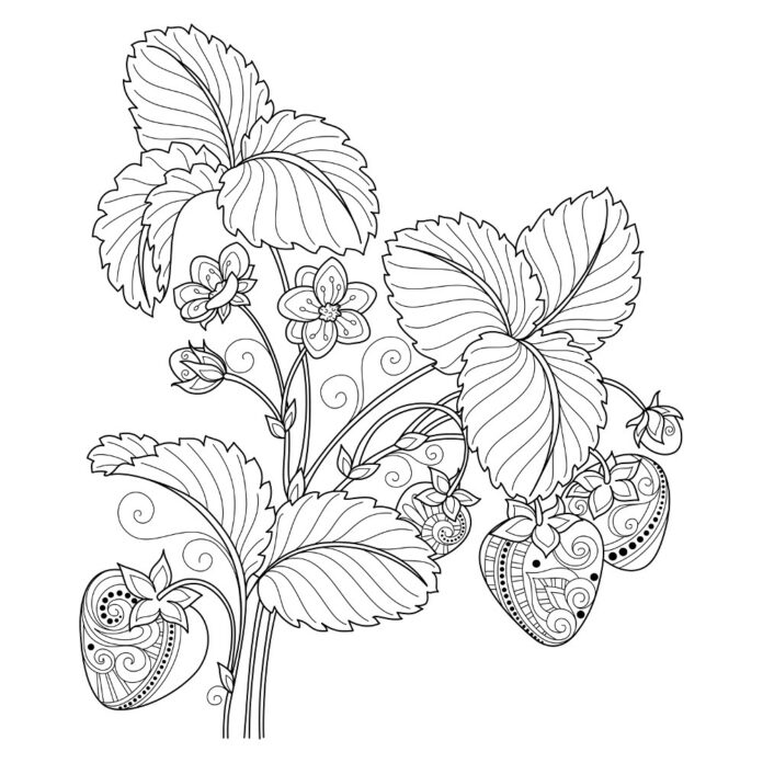 strawberries on the bush coloring book to print