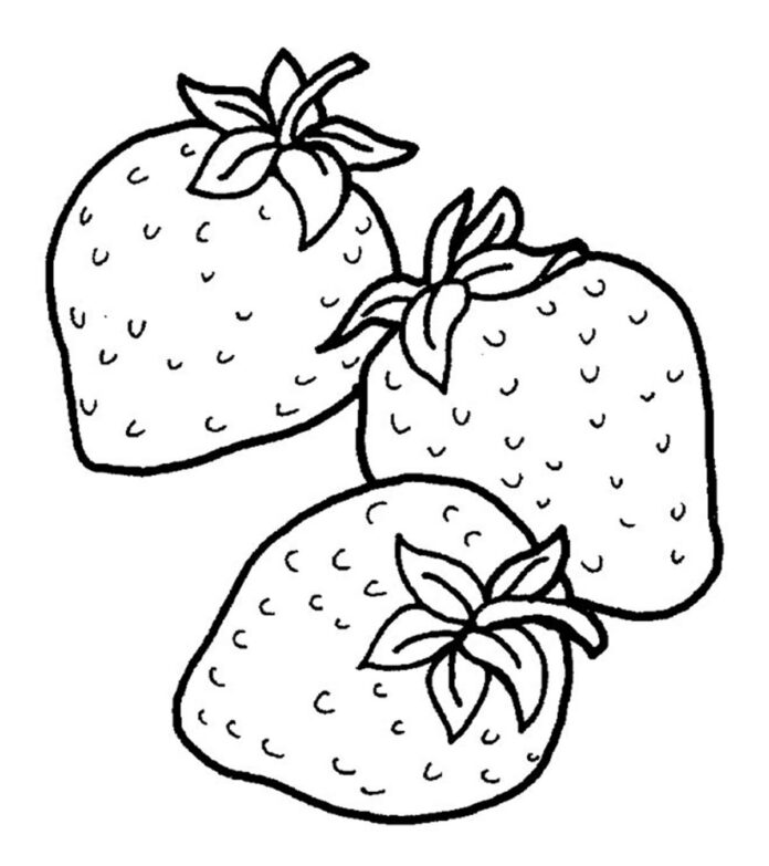 three red strawberries coloring book to print