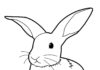livre à colorier stomping rabbit à imprimer