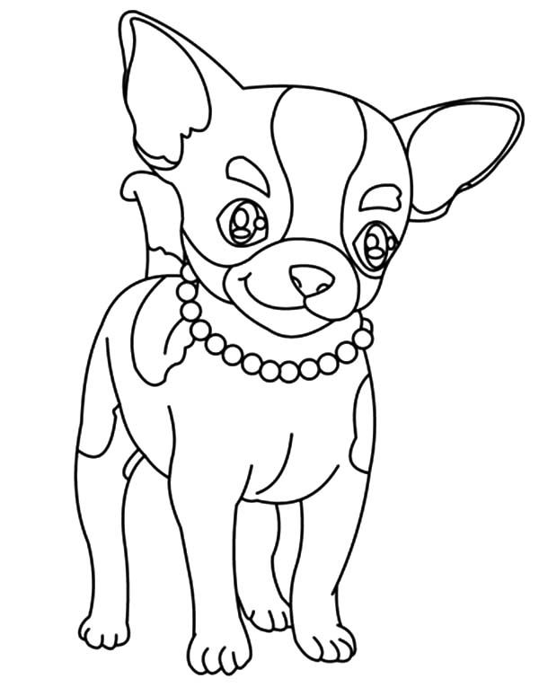 cute chilala dog coloring book to print