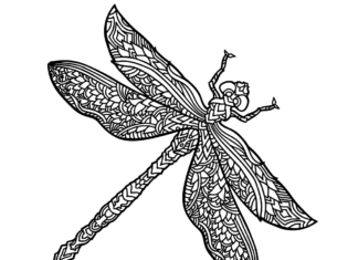dragonfly zentangle coloring book to print