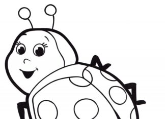 happy little ladybug coloring book to print