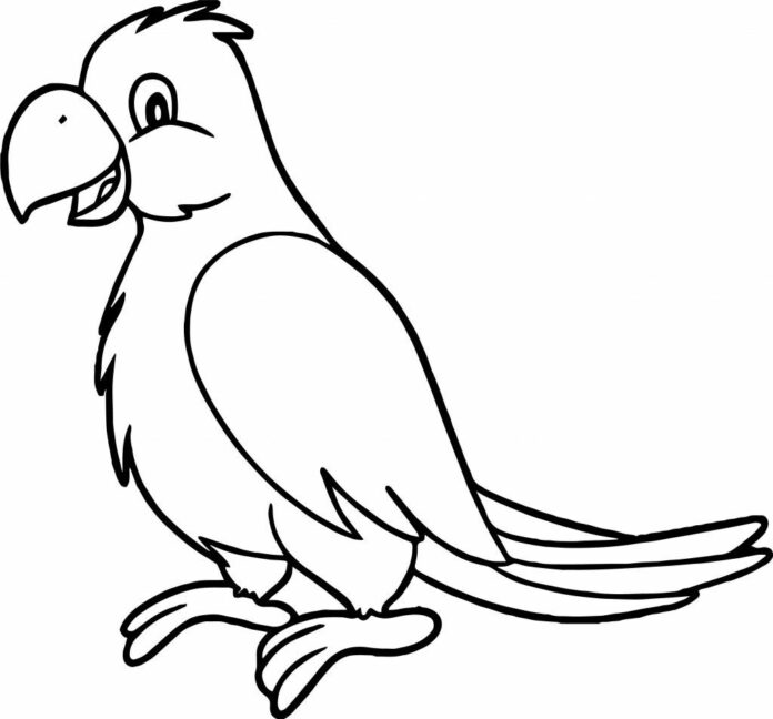 fun parrot for kids coloring book to print