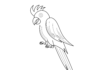 happy cockatoo parrot coloring book to print