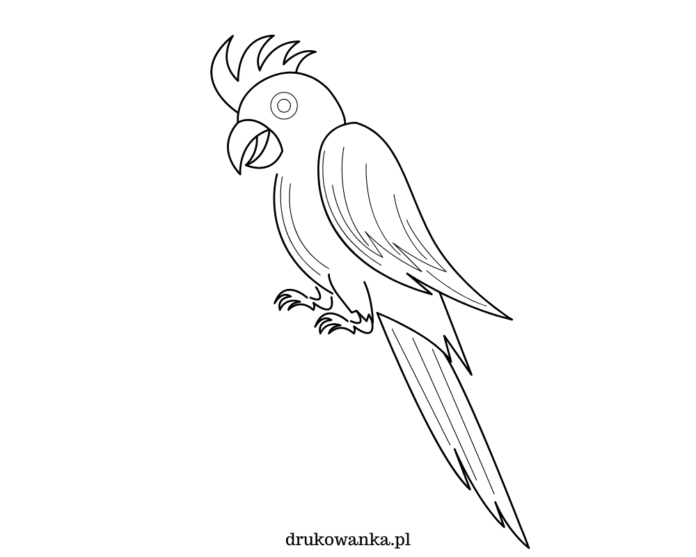 Šťastný papagáj kakadu omaľovánky k vytlačeniu
