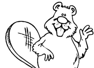 fun beaver for kids coloring book to print