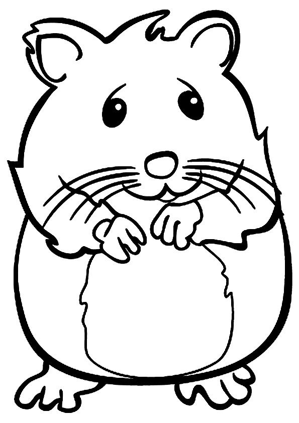 ein glücklicher Hamster in freier Wildbahn Malbuch zum Ausdrucken